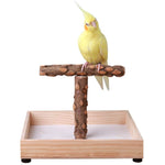 KinTor Bird Perch Nature Wood Stand for Small Medium Parrots