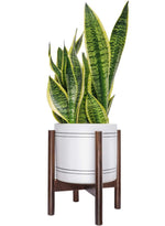 Mid Century Plant Stand - Up to 10'' Flower Pot, Wood Indoor Planter Holder, Modern Home Decor (Planter Not Included)