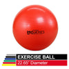 TheraBand Exercise Ball, Professional Series Stability Ball with 55 cm Diameter for Athletes 5'1" to 5'6" Tall, Slow Deflate Fitness Ball for Improved Posture, Balance, Yoga, Pilates, Core, Red
